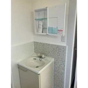 愛知県名古屋市北区若葉通１丁目 洗面所