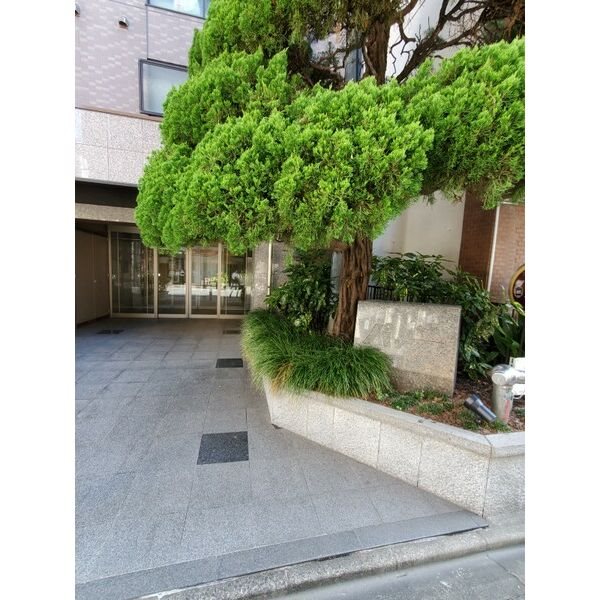 愛知県名古屋市千種区今池５丁目 エントランス