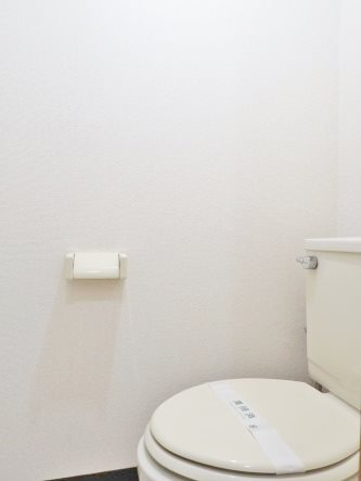 グリーンヒルズ石川Ｉ トイレ
