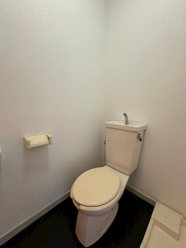 エバーグレース その他1