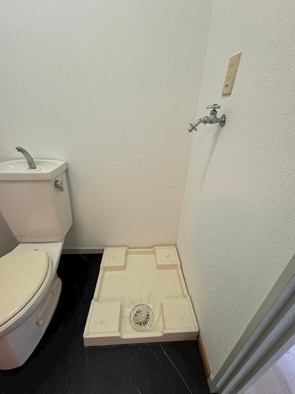 エバーグレース その他2