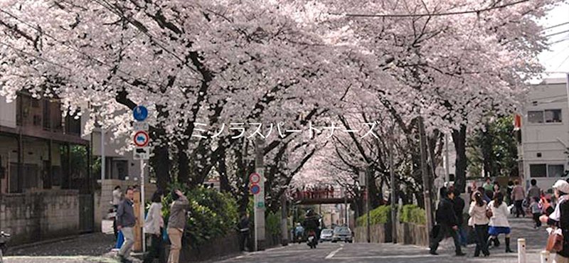 ウェル田園調布 その他4