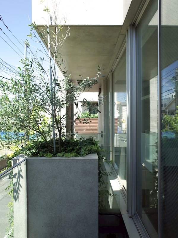 TREES その他3