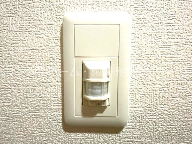 マナリオ（MANARIO） その他