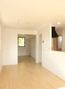 アナメリノ その他1