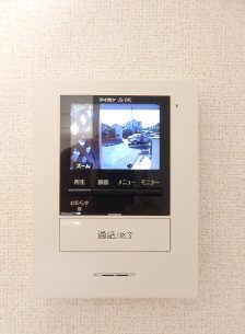 アナメリノ その他4