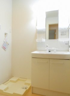 マスカットC その他2