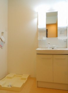 マスカットC その他2