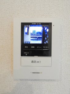 マスカットC その他4