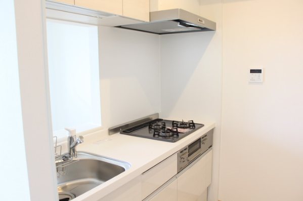 グランメゾン宮内 キッチン