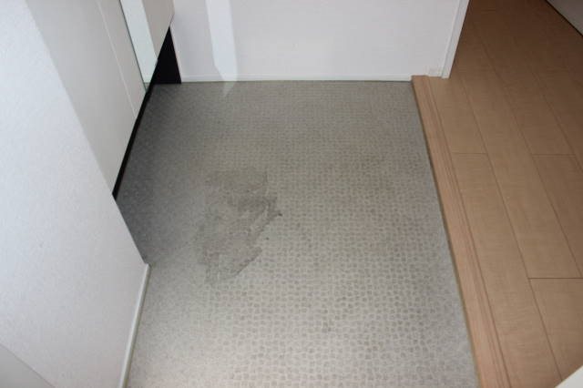 メゾン・ド・CHT  玄関