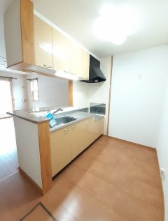 プラシード参番館 キッチン