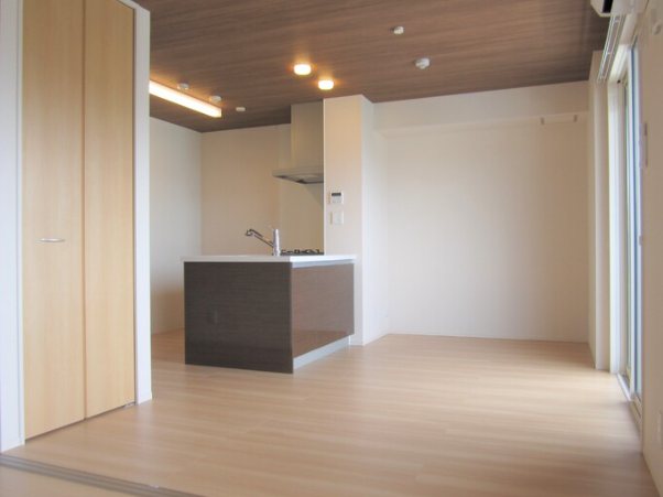 イリスＡ その他1