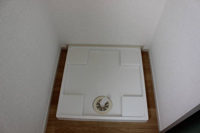 ヤマコウバシ その他1