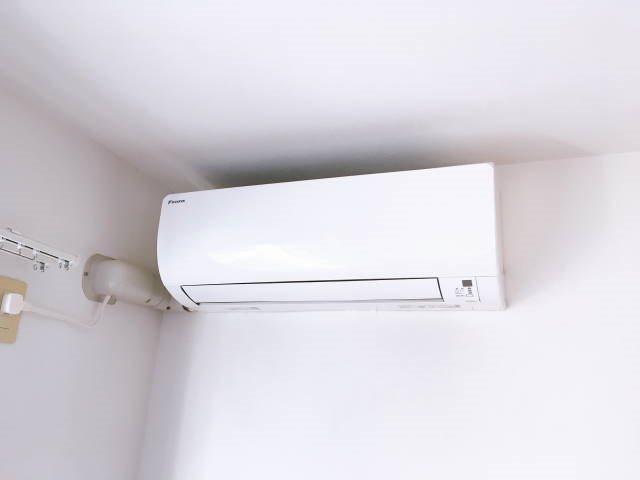 ｓｏｌ　Ｌｅｖａｎｔｅ その他14