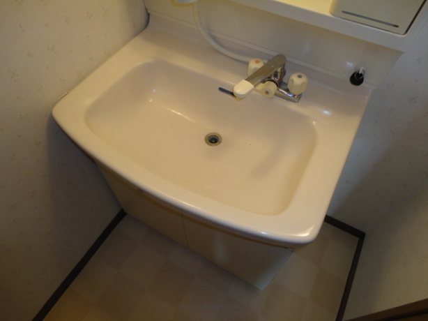 グリーンルージュM その他4