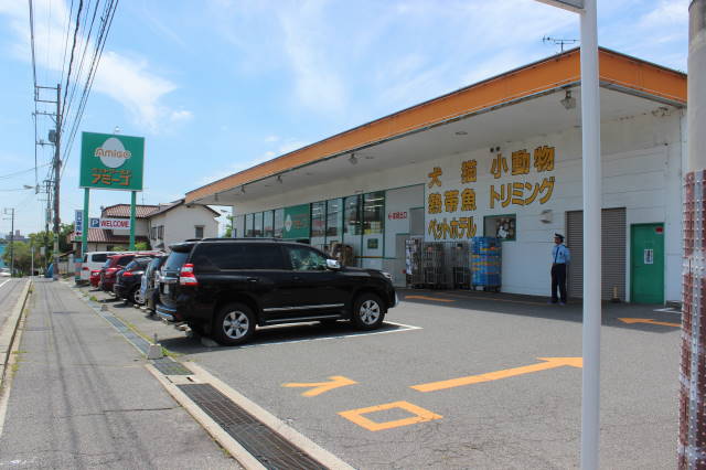 亀井貸家 周辺画像4