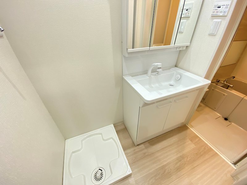 七武海 その他2