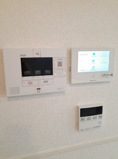 ロータス その他4