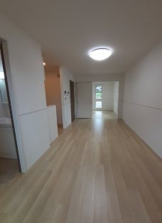 ロータス その他1