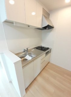 ロータス その他5