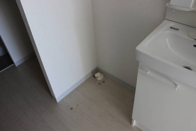 ヴィラ　リヴィエールⅢ その他6