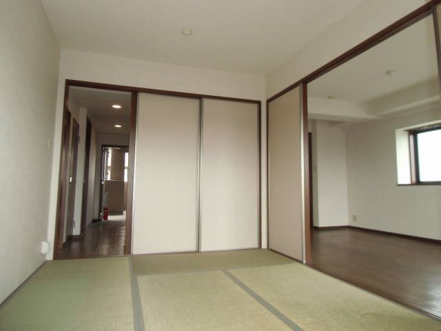 ミレニアム その他1