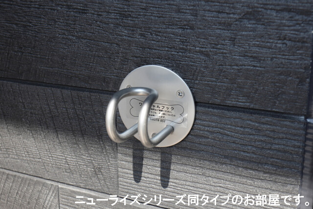 キララ その他6