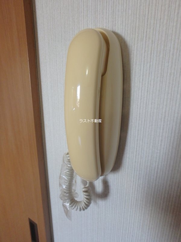 石楠花 セキュリティ