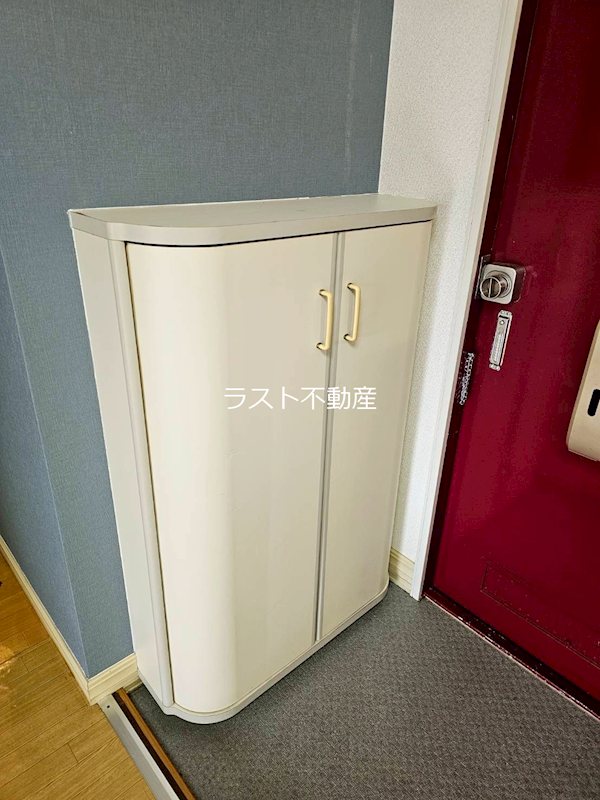 セフィーラN その他