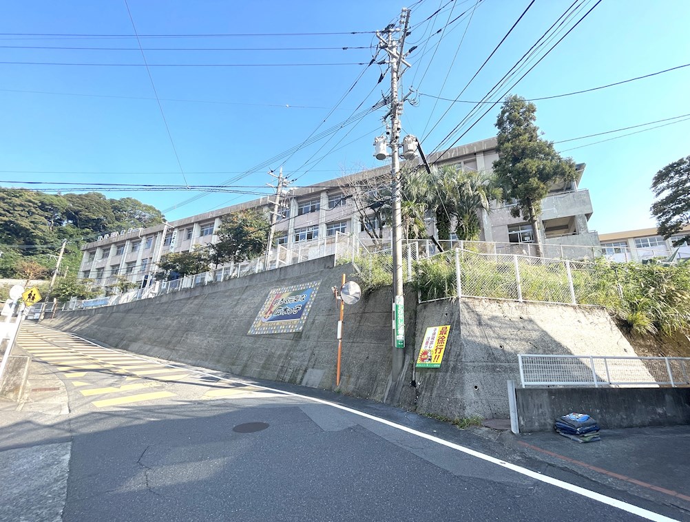 鹿児島県鹿児島市紫原７丁目11-1 小学校