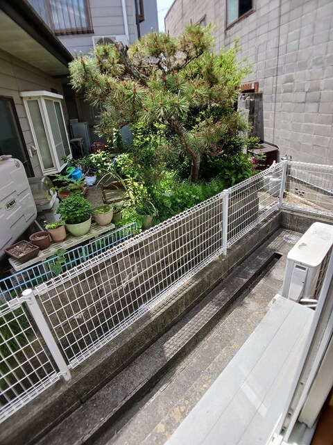 ノーヴァ壱番館 その他