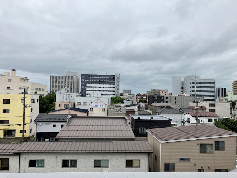 ロイヤルパレス神明町 眺望