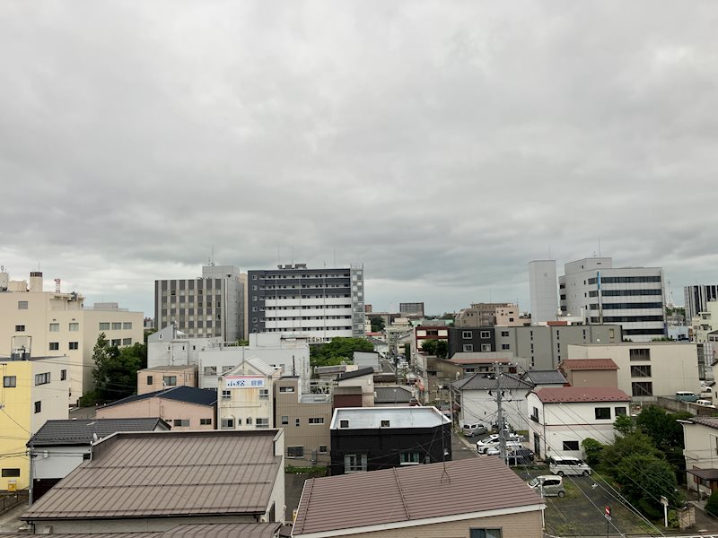 ロイヤルパレス神明町 眺望