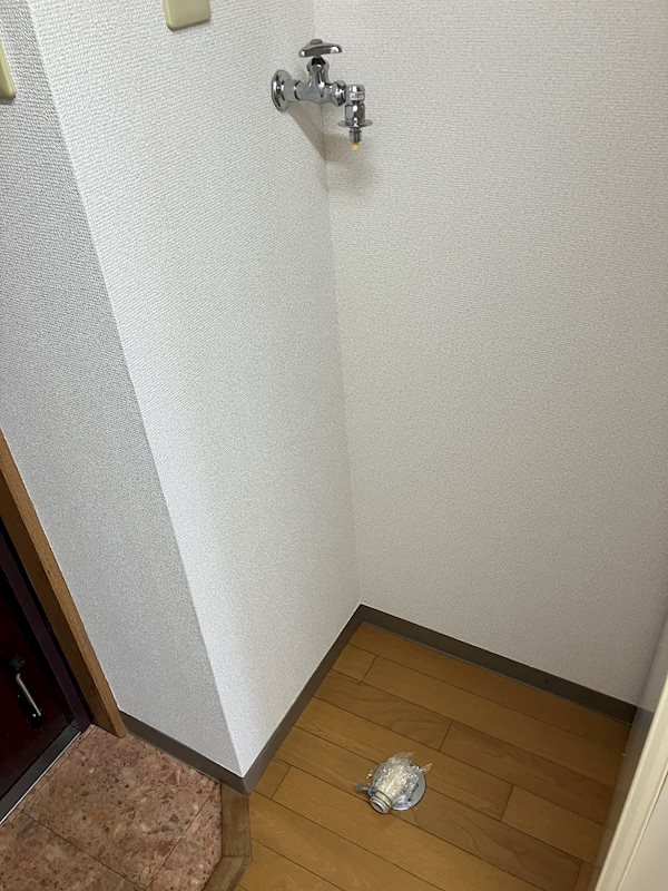 ロイヤルパレス神明町 その他部屋・スペース