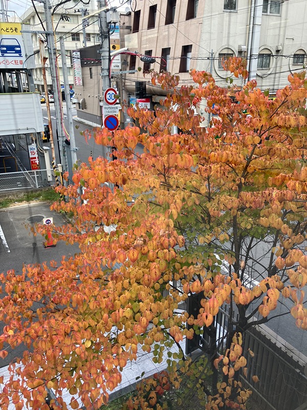 MDビル 眺望