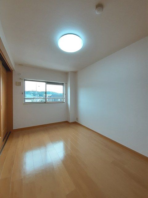 グレイスタキオン その他