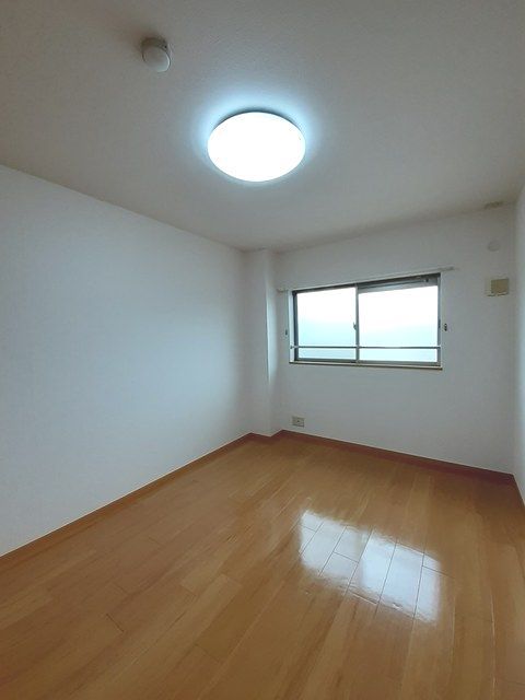 グレイスタキオン その他