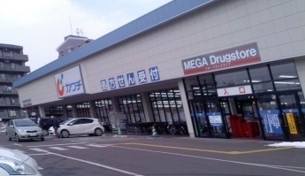 サンフローラＡ その他