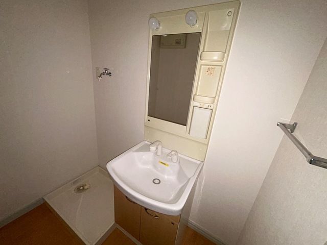 メゾンマーメイド 洗面所