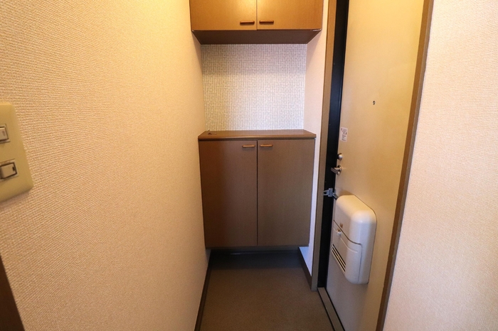 ドミールＹ 玄関