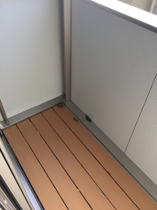 ベルクライムⅠ ベランダ