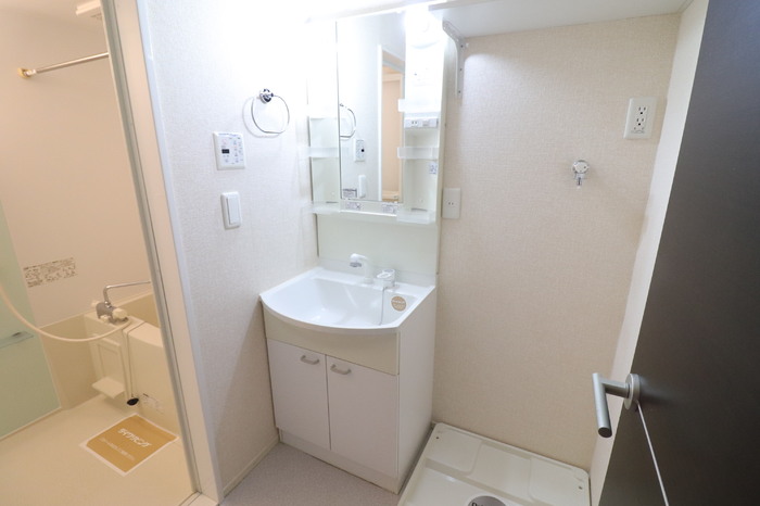 Ｄ－ｒｏｏｍ平野 洗面所