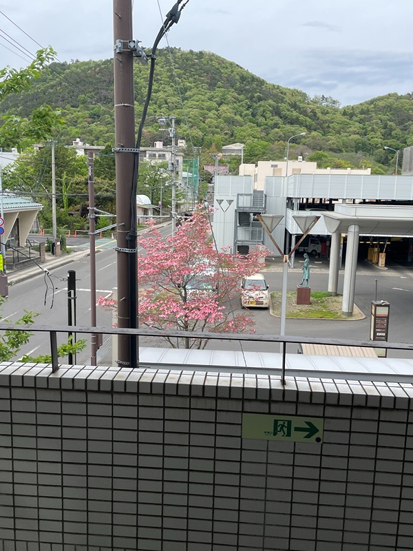 ベルシティ森合町 眺望