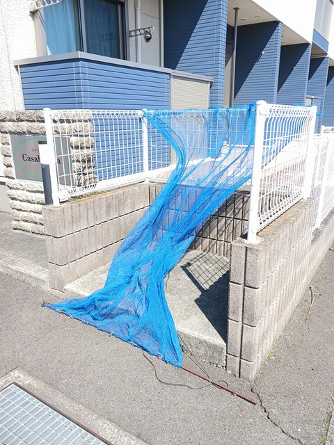 カサブランカ その他