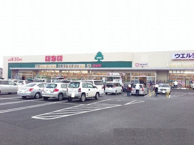 フォレスト・グリーン その他