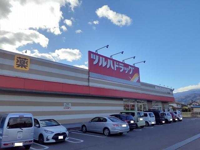 モダン・プリムローズ その他