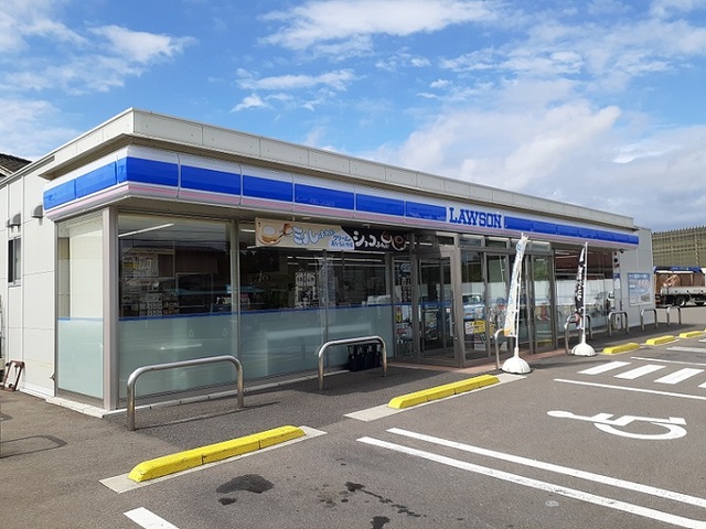 モダン・プリムローズ その他