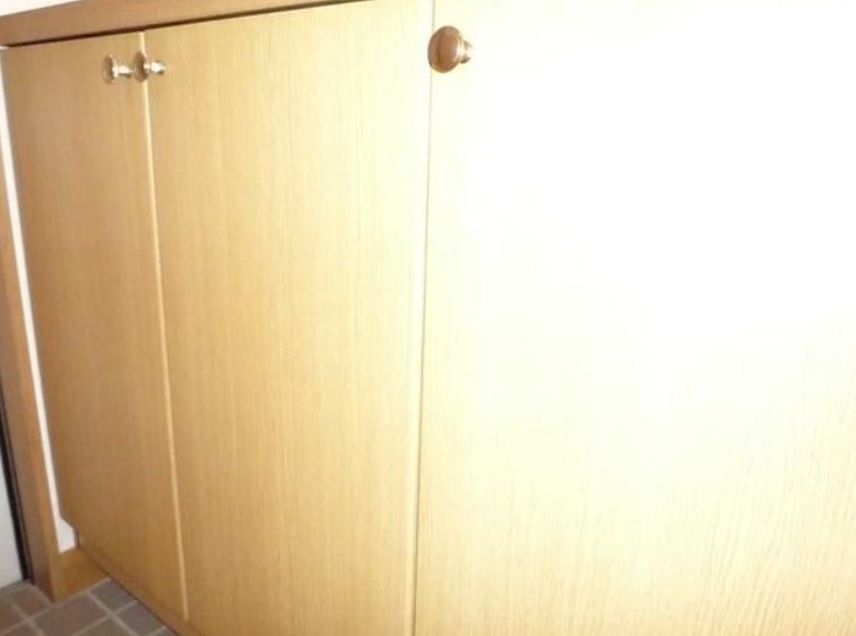 カーサ宮下A 玄関