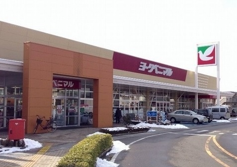 カーベナ その他